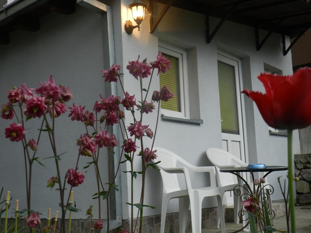 Apartment-Studio Downtown Dudanovi Ohrid Eksteriør billede
