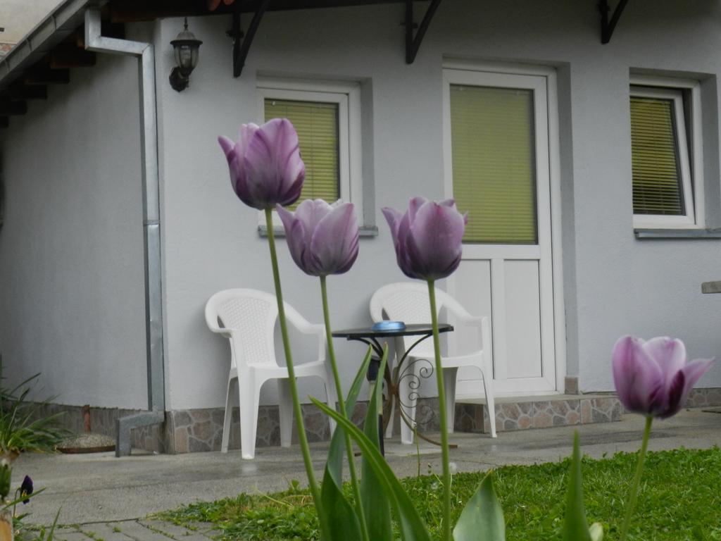 Apartment-Studio Downtown Dudanovi Ohrid Eksteriør billede